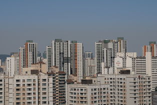 高市早苗搬入首相公邸，新的开始与挑战