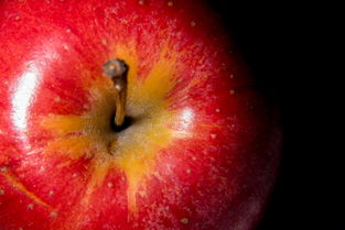 截至目前（2024年）苹果（Apple）尚未推出任何支持5G的iPhone 5系列手机，因为