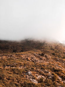 大雾的形成主要是近地面空气中的水汽在特定气象条件下发生凝结，形成大量悬浮于近地层（通常指0–2米高度）的微小水滴或冰晶，导致水平能见度低于1公里的现象。其核心成因可归纳为以下三个基本条件及具体机制