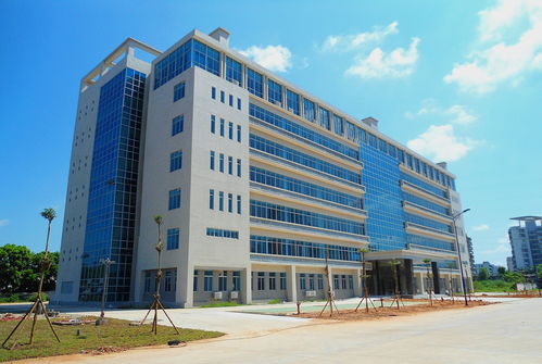 -成立时间，2015年（由原上海医药高等专科学校、上海医疗器械高等专科学校和上海健康职业技术学院三校合并升格组建）