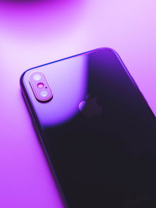 iPhone 12 的屏幕尺寸为